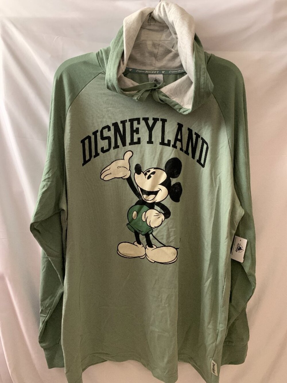 DISNEYLAND RESORT Mickey Mouse Hoodie Sweatshirt in Green Sz LARGE
